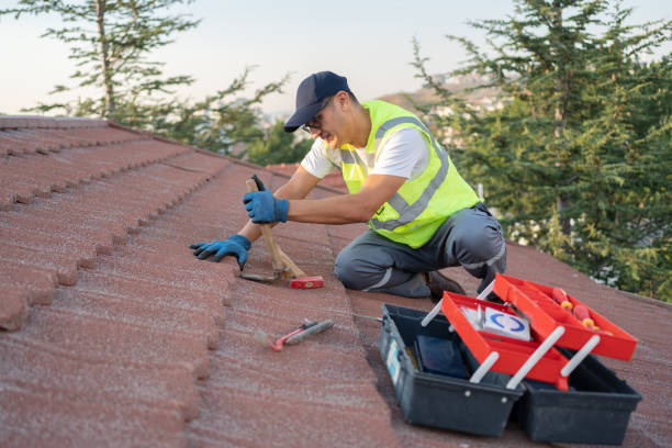 Best Roof Gutter Cleaning  in Ashland, WI